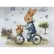 Bambino Casa Blu Rabbit Bicycle - Муселиново одеало 120 х 120 см