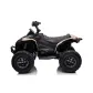 Продукт Акумулаторно бъги Licensed Can AM Renegade ATV, 24V с музика и светлини - 6 - BG Hlapeta