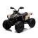 Акумулаторно бъги Licensed Can AM Renegade ATV, 24V с музика и светлини 1