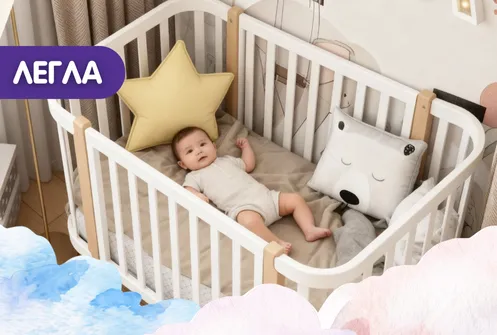 ЛЕГЛА И КОШАРИ